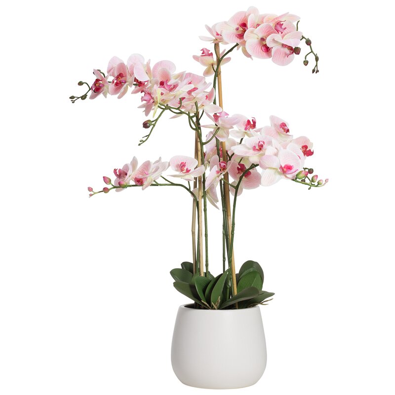 The Seasonal Aisle Artificial Orchid Floral Arrangement in Pot